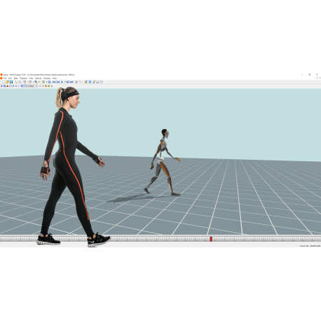 Licencja Xsens Animate Pro – 1 rok